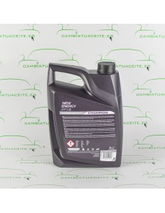 CHAMPION NEW ENERGY ATF DIII CP-5L 2